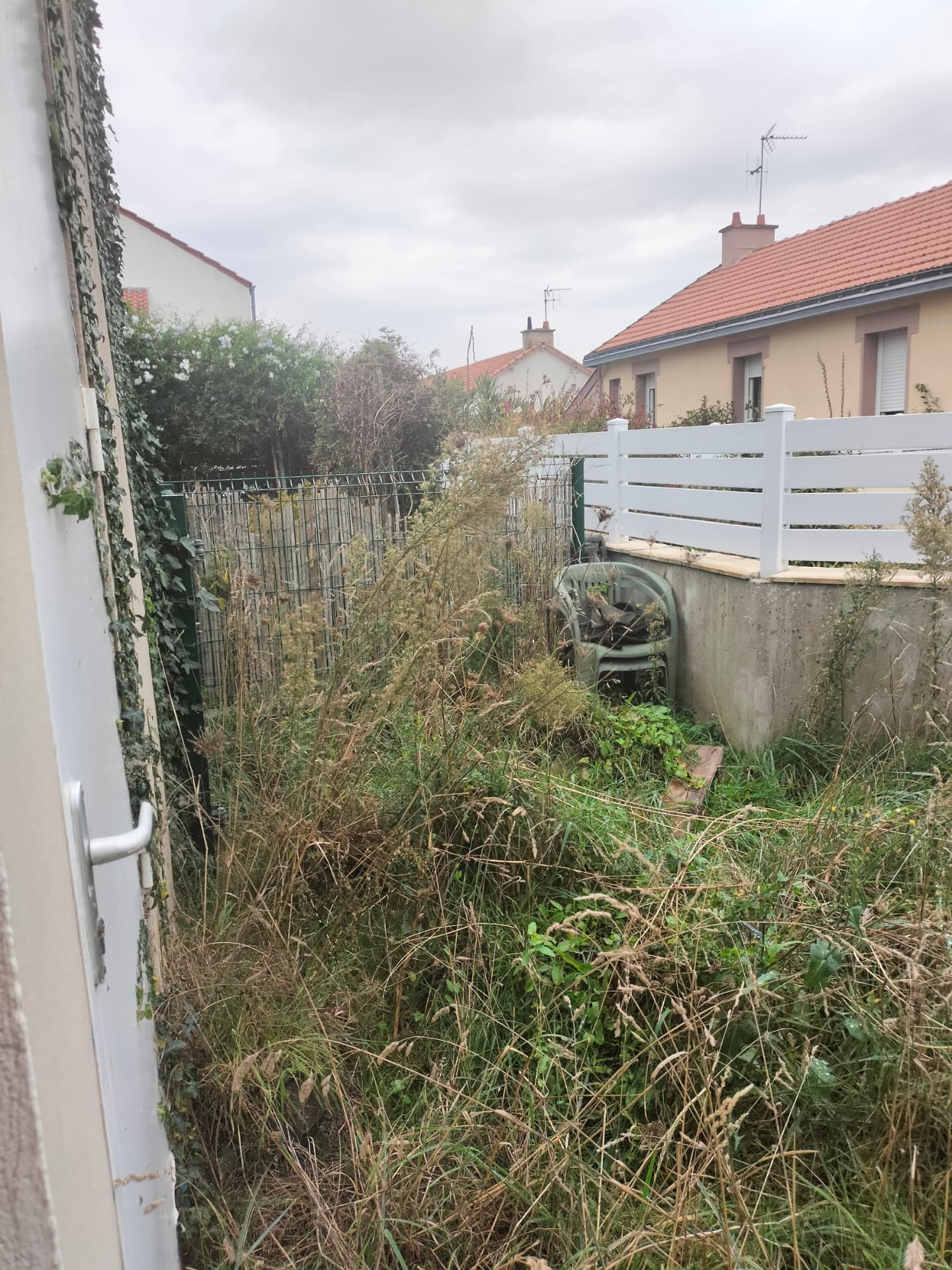 Jardin de particulier avant l'intervention — herbes hautes et broussailles