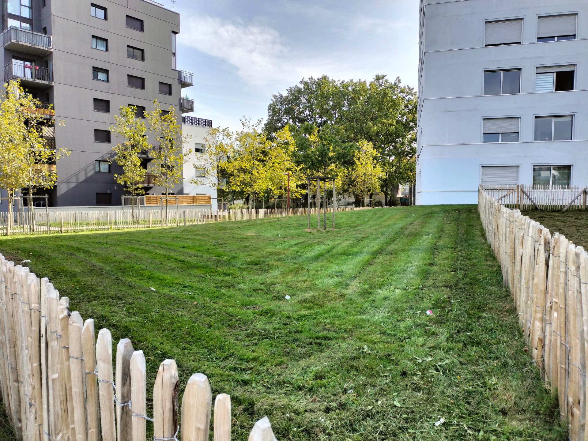 Tonte d'une pelouse entre deux bâtiments de résidence
