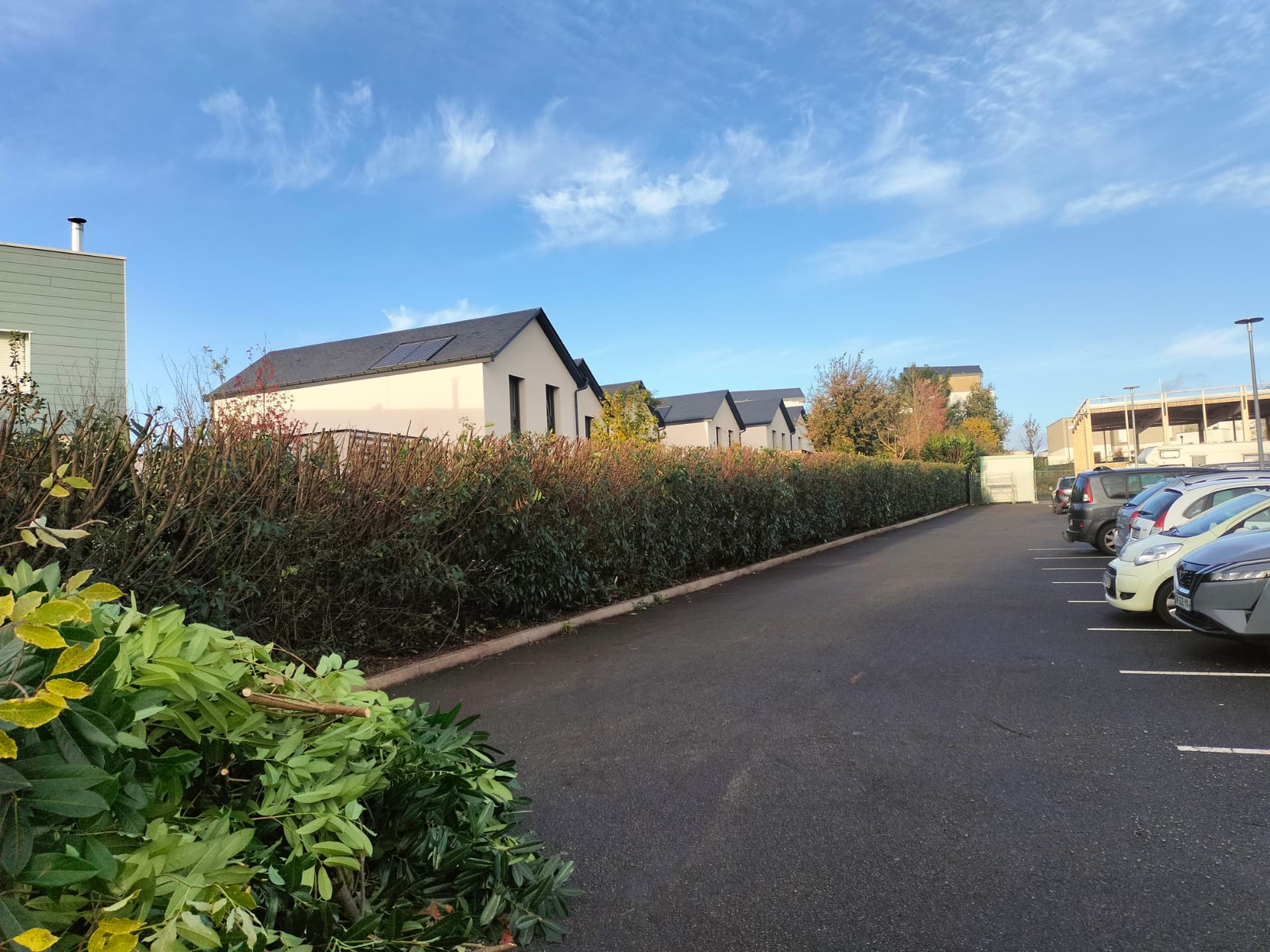 Haie taillée le long d'un parking en fin de journée