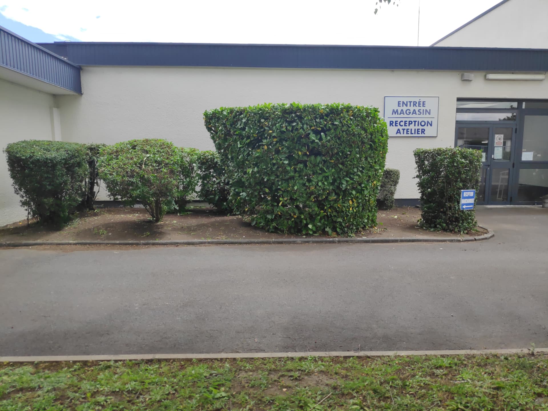 Haies taillées devant un bâtiment d'activité