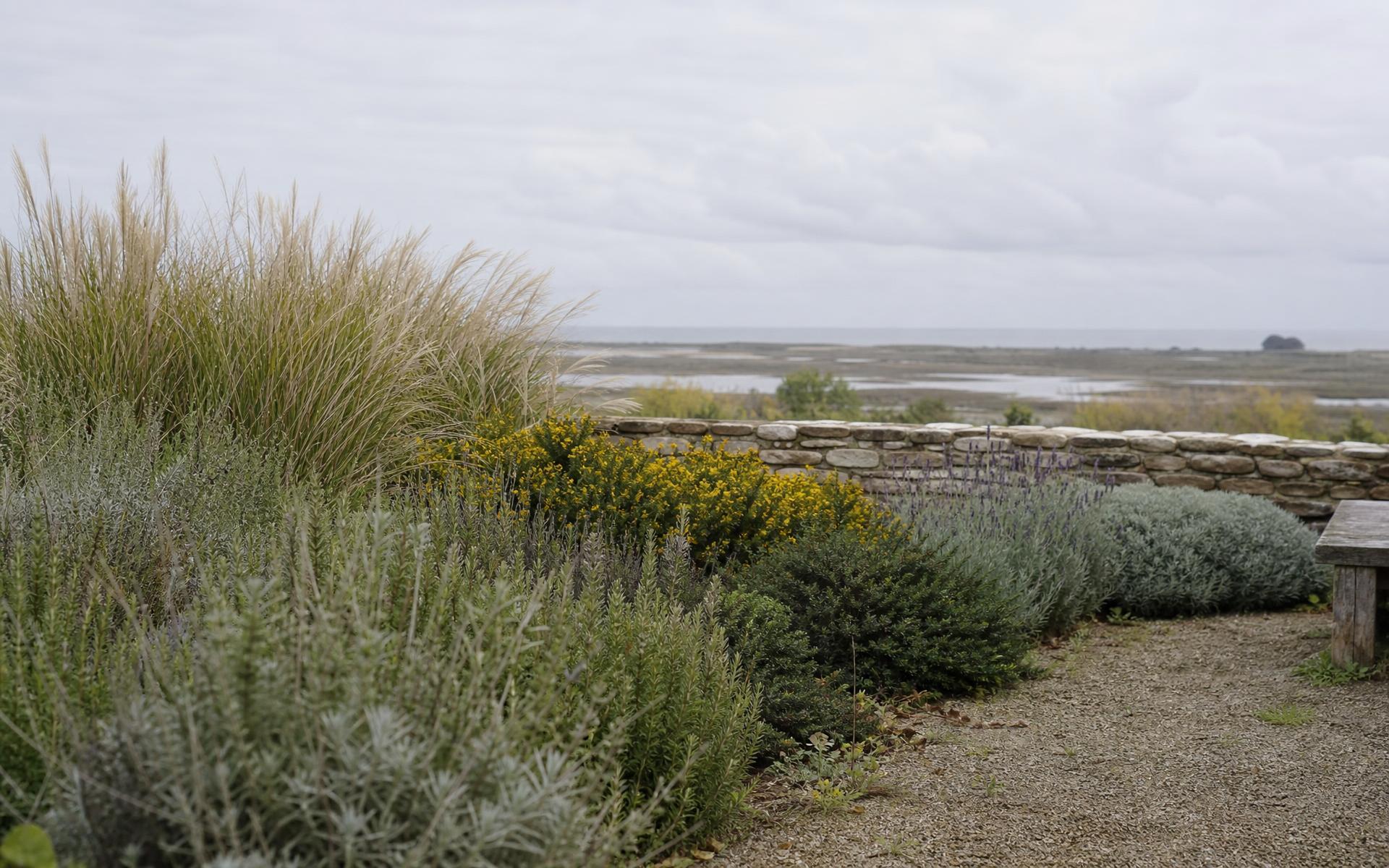 Jardin paysager entretenu en bord de mer